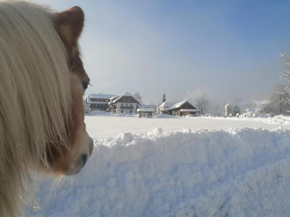 Schullerhof Hotel แฮร์มากอร์ ภายนอก รูปภาพ